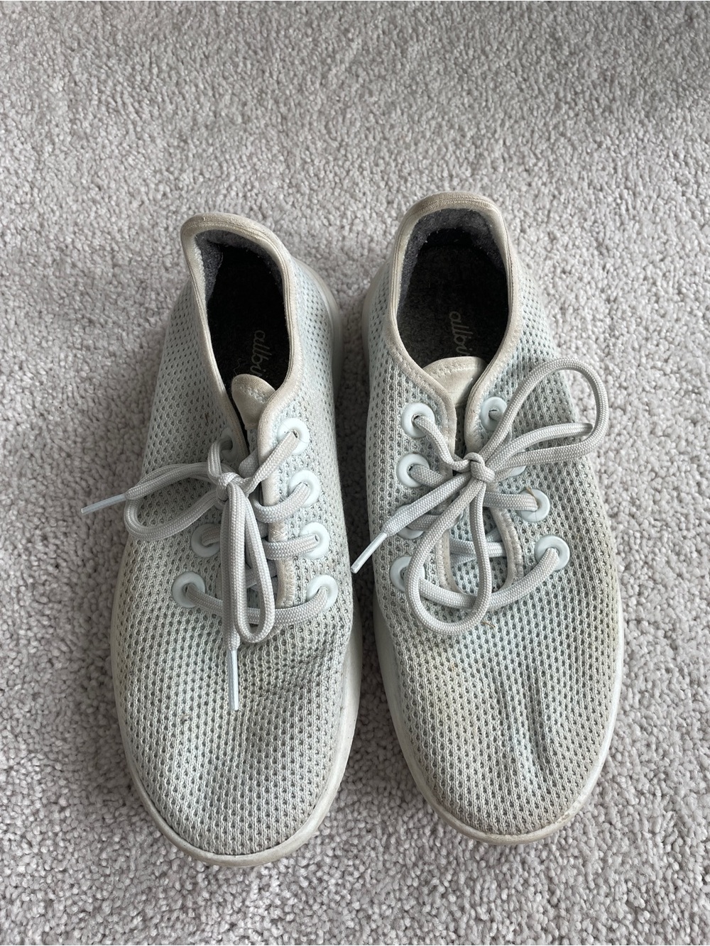 Allbirds Women’s Tree Runners in Light Blue